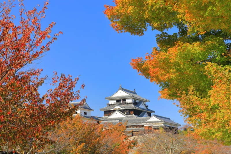 【東京駅・品川駅・新横浜駅発】 往復のぞみ号利用！（東京＝岡山間）四国周遊ハイライト4日間　　 四国を代表する名湯「道後温泉」＆「こんぴら温泉郷」に宿泊！2