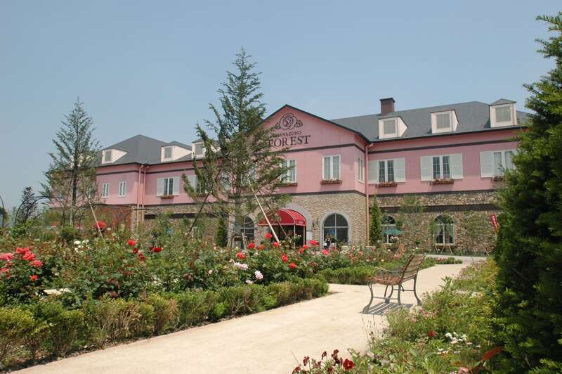 【千葉県内発】 花の絨毯！約40万株『羊山公園芝桜の丘』　春色の名勝『長瀞』＆秩父名物ランチ3