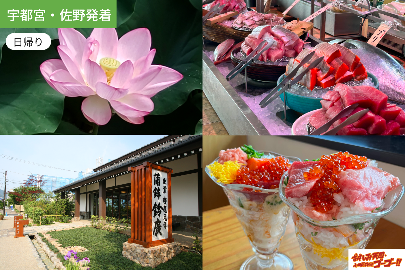 【宇都宮・佐野発着】お腹いっぱい！海鮮食べ放題と風情あふれる小田原城ハス散策＆名産かまぼこ買物1