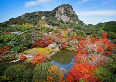 ❞もみじの森❞環境芸術の森と御船山楽園 日帰りバスツアー🚌