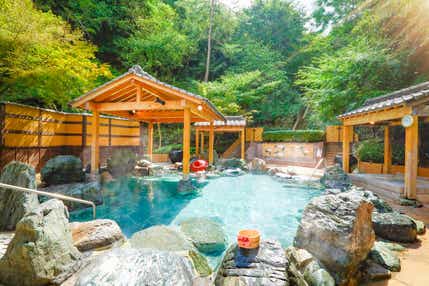 【和歌山市内ルート発】 花と名画に抱かれる瀬戸内周遊～日本で感じる地中海・欧州２日間