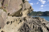 １名参加ＯＫ！【名古屋駅発】＊１泊４食付＊紀伊山地世界遺産めぐり『高野山と龍神温泉』3