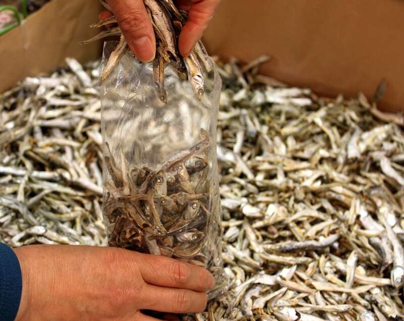 【広島エリア発】 ８つのお年玉！ふくかに合戦ミステリー　日帰り3