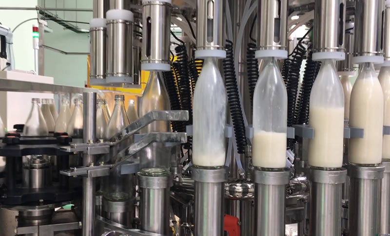 神秘の稲積水中鍾乳洞と佐伯「刺身盛定食」＆あまざけ工場見学日帰りバスツアー🚌3