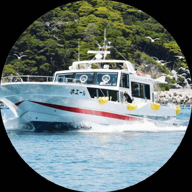 【山形県内発】 牡鹿半島「島周の宿 さか井」で食す！三陸海の幸＆名物「鯨料理」と 遊覧船で行く！太平洋に浮かぶ「金華山」黄金山神社 特別昇殿参拝（2日間）2