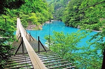 【広島・福山】秋の秘境 寸又峡・方広寺夜間特別拝観 浜名湖畔の温泉宿(2泊目)に宿泊モニターツアー3日間