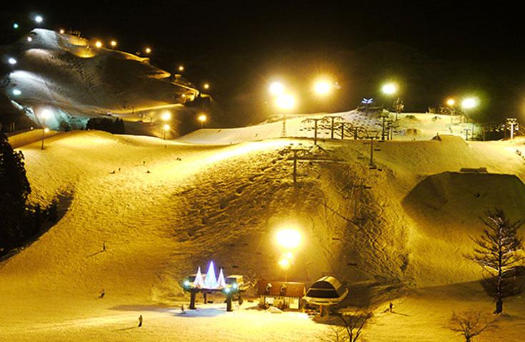 [東京/新宿発]【往復バスで行く】夜発 「ホテルグリーンプラザ上越」 車中1泊現地1泊3日【滞在中リフト入場券＆ブランドレンタル(ホテル貸出)付】【夕食・翌朝食付】3