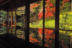 三宮・名谷　発
№4852 姫路の奥座敷塩田温泉と関西花の寺應聖寺の床紅葉3