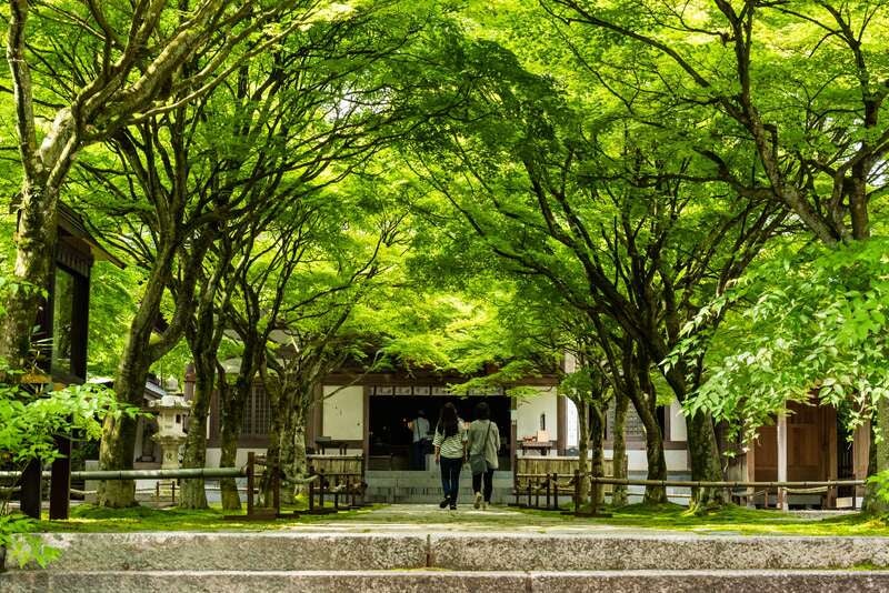 【下関・新下関発】さくらんぼ！メロン！桃！３つの果物お持ち帰りと青葉と苔の緑に包まれる吞山観音寺　花と音色で楽しむ雨季ウキバスツアー　日帰り2