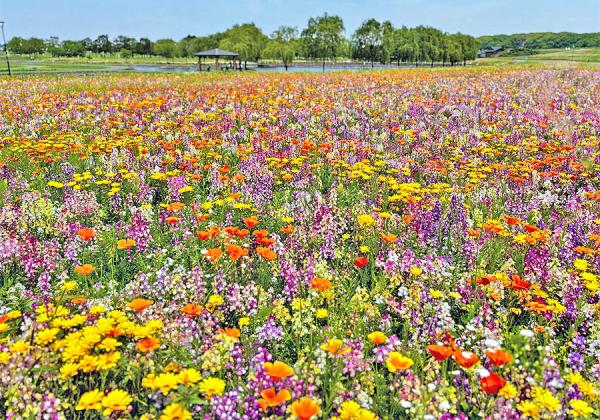 【福岡県助成金付】母の日企画♪ お母さんありがとうバスツアー in 久留米・筑後2