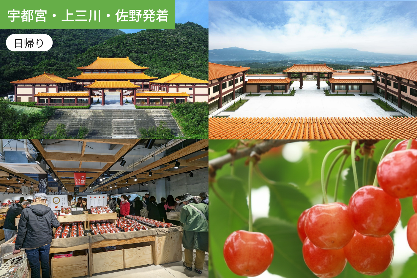 【宇都宮・上三川・佐野発着】群馬なのに台湾？佛光山法水寺と初夏のさくらんぼ満喫【さくらんぼ狩り】【昼食付】1