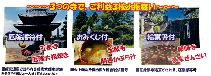 午年に詣る！「豊国神社」と厄除・開運・多幸を祈願！新春三椀めぐり【久宝寺・近鉄八尾・八戸ノ里・新石切発】2