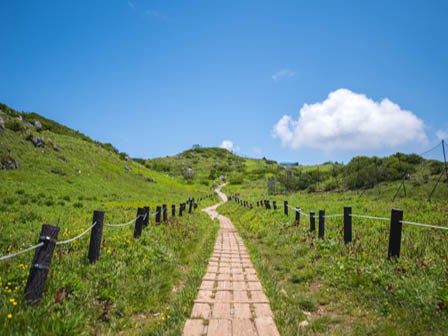 中部発 日帰り 約1,350種の高山植物が彩る、天空の花畑へ！日本百名山「伊吹山」をガイドと共にハイキング！1