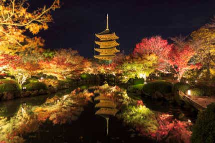【岡山県内発】 京都・奈良６つの紅葉めぐり ２日間