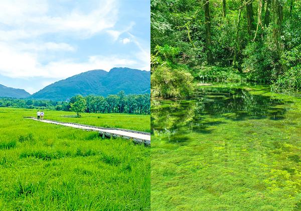 るり色の妖精が花咲くヒゴタイ公園とタデ原湿原と涼緑の池山水源2