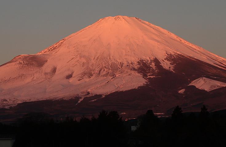 [東京発]≪新春・日帰りツアー≫三保の松原で海からの絶景初日の出と富士山を鑑賞！金運アップの三嶋大社で初詣とゆったり初湯も楽しめる富士づくしバスツアー2