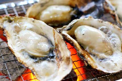 【防府・新山口発】\広島代表グルメを食べつくせ!/牡蠣生産量第1位の広島かき&広島風お好み焼きの2食付き!間もなく閉城!広島城 日帰り