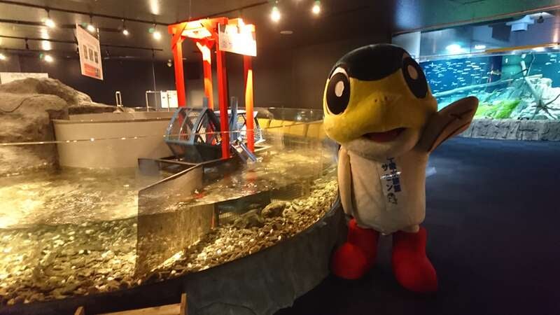 【佐賀空港発】 わくわく春休み！人気の旭山動物園と北海道感動体験３日間1