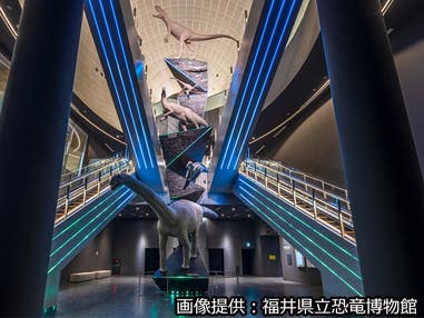 ■【特別展＆常設展】＜福井県立恐竜博物館入館引換券付き＞　宿泊はお好きなホテル・旅館を選択！　北陸シティホテル＆温泉チョイス　3泊4日