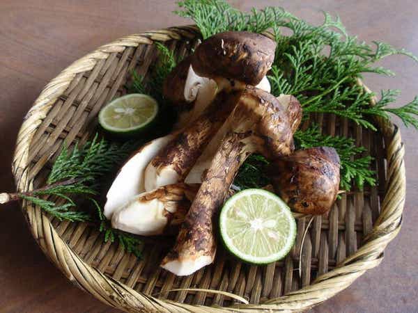 【大分駅発】 香り豊かな生松茸と伊万里牛の焼き巻きしゃぶを食す！川内野小さなコキア畑とお菓子の神様参拝　日帰り　1