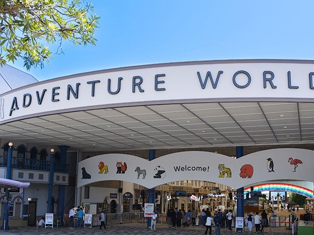 ■レンタカー付プラン〈往復南紀白浜空港利用〉JALで行く！和歌山　アドベンチャーワールド1日入園券付　南紀ホテルチョイス　3泊4日1