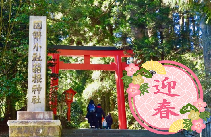 催行決定[新宿発]≪新春・日帰りツアー≫十国峠山頂から見る初富士＆初日の出！箱根神社で初詣＆箱根小涌谷ユネッサン「元湯 森の湯」でゆったり初湯1