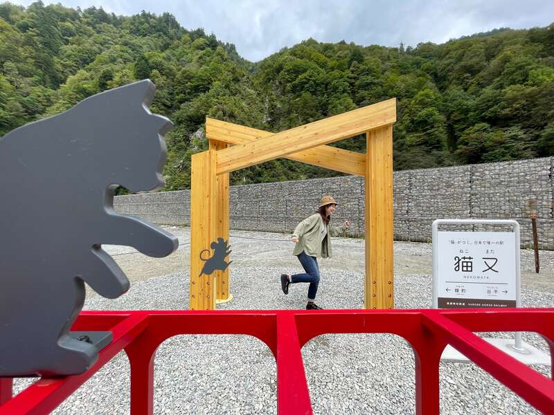 【富山県内発】 納涼ふるさと再発見！　黒部峡谷鉄道トロッコ列車 と 落差３５０ｍ！日本一の称名滝　日帰り2