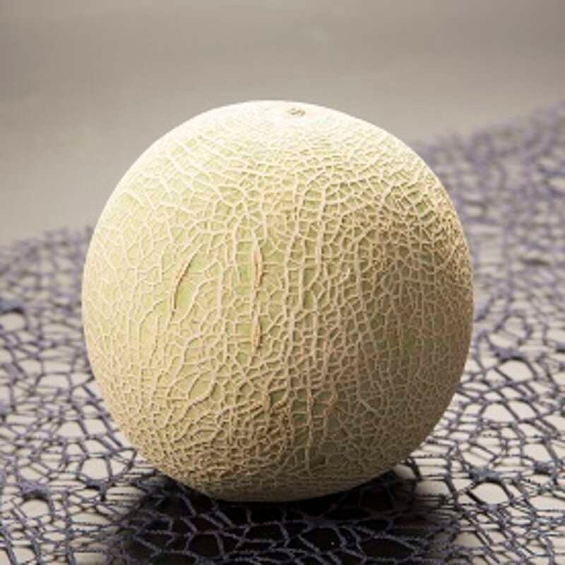 【群馬県内発】 どどーんと国産メロン1玉＆いちご1パック詰め放題　ラストいちご狩り・花の祭典ミステリー 日帰り2