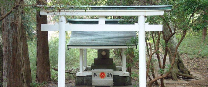 箱根 白龍神社例大祭 プレミアムバスツアー 限定のお札や御朱印をGET！