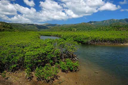 【仙台空港発】 秘境、西表島へ宿泊滞在!八重山4島絶景大周遊~石垣・竹富・由布・西表島~(4日間)