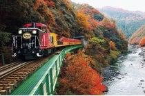 【名古屋駅発】＊日帰り昼食付＊『京都　嵯峨野トロッコ列車と鈴虫寺』1