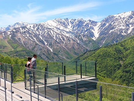 中部発　宿泊　雪の大谷ウォーク＆白馬岩岳マウンテンリゾート2