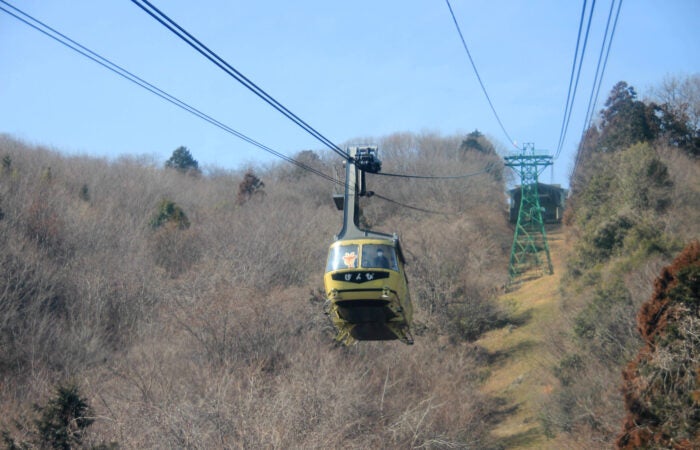 【横浜発】三十槌の氷柱と宝登山 冬の秩父絶景と”三十槌の氷柱”宝登山ロープウェイで空中散歩＆黄金に輝く宝登山蠟梅園観賞！2