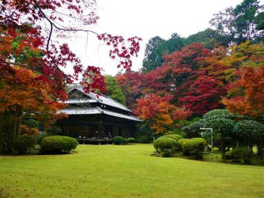 【赤間・東郷・福間・古賀発】 ”元天皇料理番”の味を食す!麻生大浦荘秋の一般公開と45年ぶりの再始動!酒蔵記念館・梅ヶ谷酒造 日帰り