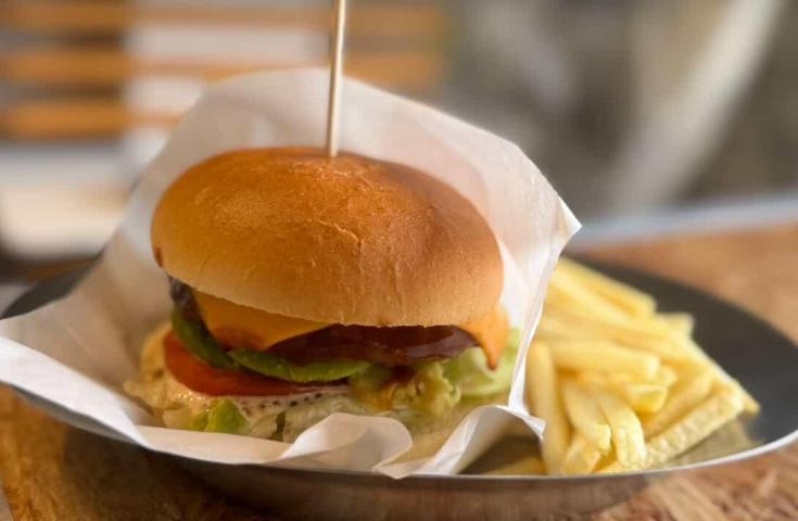 【愛犬同伴プラン】(4/18)絶景！ひたち海浜公園で空へと続く一面ブルーのネモフィラ鑑賞＆ミニドッグラン付きカフェでバーガーランチ♪春の行楽日帰りvipわんツアー！2