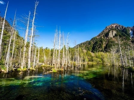 中部発　日帰り　憧れの山岳リゾート　上高地　日帰り3