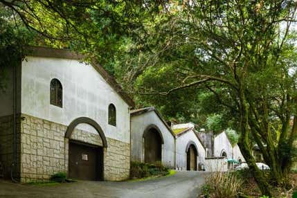 【バスハイク／天神発着】 添乗員同行 ほとめきの街久留米 巨峰ワイナリー・ごま焼酎で有名な紅乙女酒造 森のレストラン「HEURIGE」ランチ ～ワインと焼酎、久留米の味と香りをめぐる大人の美味探訪～