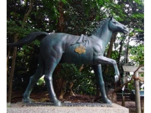 【名古屋・一社発】丸ごと蟹1杯付き！蟹10品会席と本ズワイガニ食べ放題＆干支詣＆初詣付きミステリーツアー3