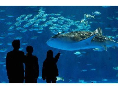 いおワールドかごしま水族館（Aquarium）とランチバイキング（Lunch Buffet）🐬日帰りバスツアー🚌3