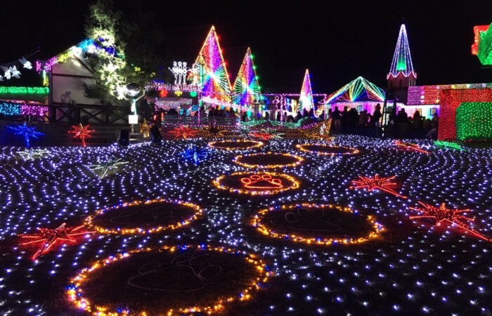 ★早期割引中★【横浜発】ドイツ村イルミネーション 光の絶景☆『東京ドイツ村』イルミネーションへ！～アウトレットショッピング＆小泉酒造・はちみつ工房見学～1