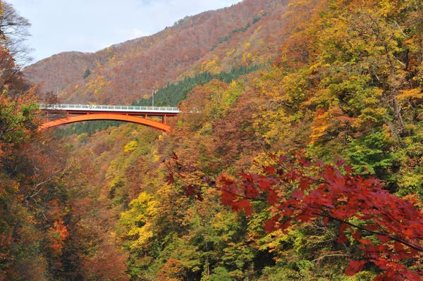 【山形県内発】 旅のすごろく市10月　一足早い紅葉をお届け！鳥海山麓・神秘の法体の滝＆小安峡の湯けむりと紅葉の競演（日帰り）2