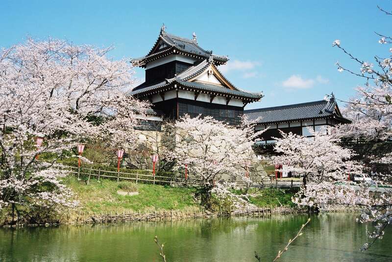 【山口県内発】 桜の名所「原谷苑」春の一般公開 京都・奈良7つの桜めぐりと春の懇親ツアー３日間3