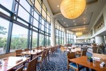 ◎ＷＥＢ予約でリボンポイント３ポイント◎【岡崎発】＊日帰り昼食付＊『グランドプリンスホテル大阪ベイde春限定の贅沢ブッフェと100万株の青に染まるネモフィラ祭り』3