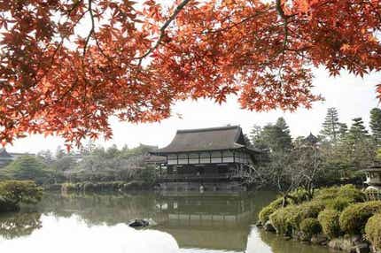 【福井県内発】 秋の京都2つの特別拝観!「平安神宮」神職と巡る正式参拝と神苑・貴賓館「尚美館」&「くろ谷 金戒光明寺」紅葉の「紫雲の庭」と人間国宝手作り「手をけ弁当」京料理の昼食 日帰り