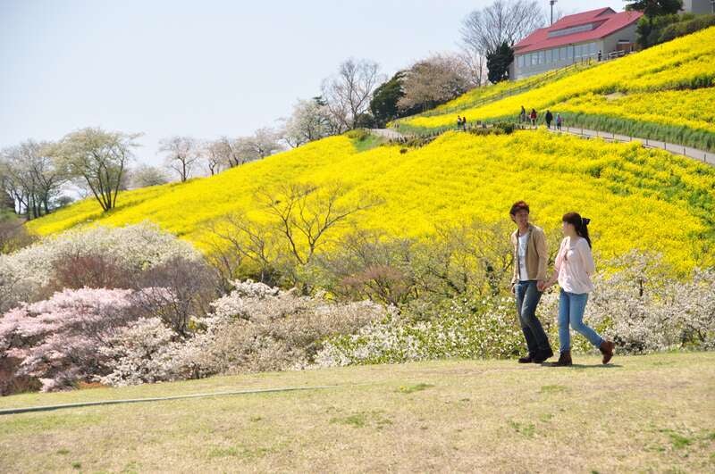 【宮城県内発】 あったか房総半島・水戸偕楽園の観梅（２日間）2