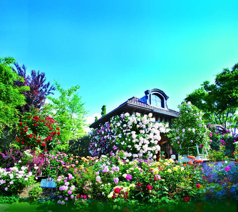 【千葉県内※銚子・茂原発着ルートを除く発】 美食交響曲♪生演奏を聴きながら♬期間限定音楽家ランチ 某世界的ガイドブックで３ツ星認定　「久保田一竹美術館」　日帰り2