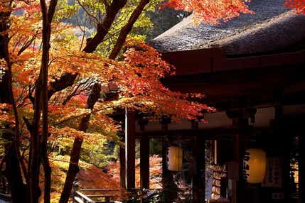 【京滋エリア発】 4つの乗り物をお楽しみ!秋の比叡山横断ルートとびわ湖畔のホテルでローストビーフ付ランチビュッフェ 日帰り