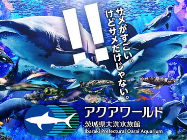 関東発　日帰り　大洗港海の幸とアクアワールド茨城県大洗水族館