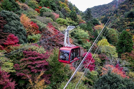 【JR福山駅発】紅葉の六甲有馬ロープウェイと神戸ホテルフルーツ・フラワーでランチバイキング＆温泉  日帰り