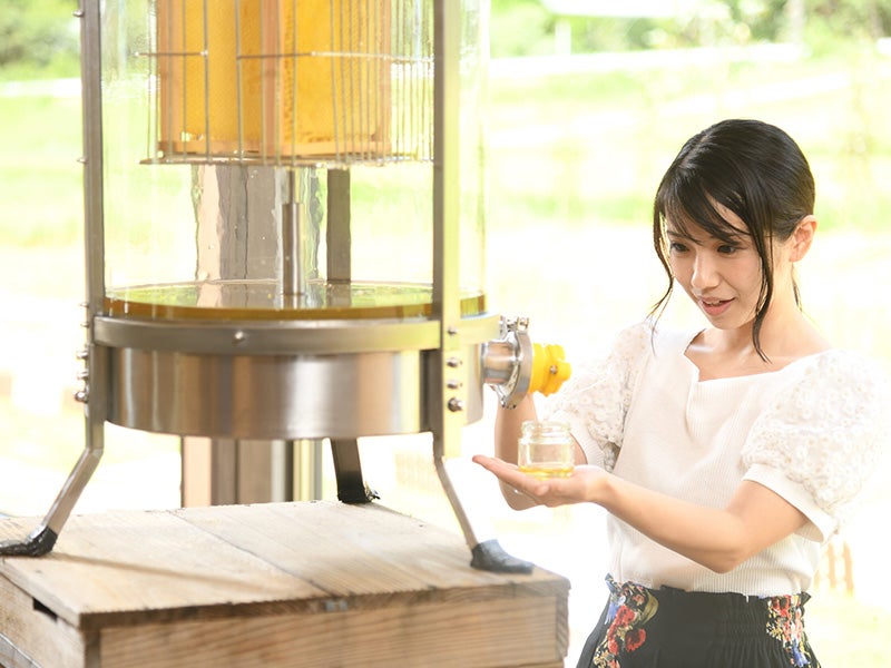 【新宿発 ぶっとび価格!!】海鮮浜焼き🐚・海鮮丼🐟など50種類以上の食べ放題と鴨川シーワールド🐬 ♪ 更に話題の「はちみつ工房🐝」はちみつ食べ比べ・海ほたるにも立ち寄る南房総大満喫ツアー！✨✨（入館料込）3